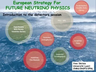 European Strategy For  FUTURE NEUTRINO PHYSICS