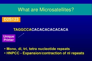 What are Microsatellites?