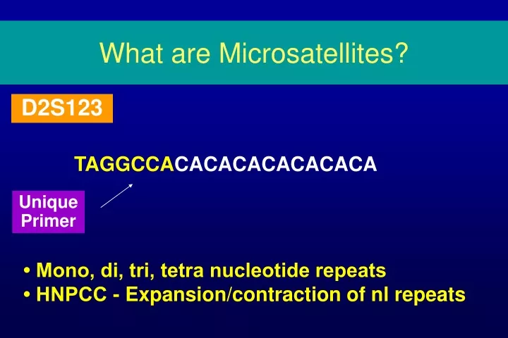 what are microsatellites