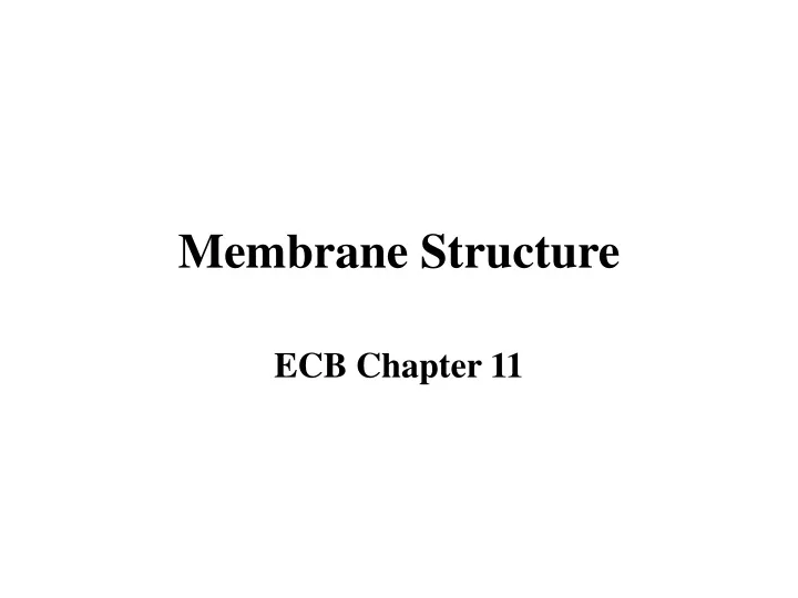 membrane structure