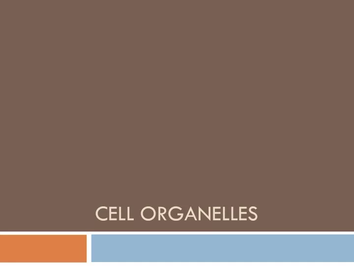 cell organelles