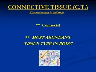CONNECTIVE TISSUE (C.T.)  The excitement is building! ?