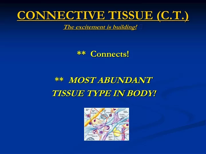 connective tissue c t the excitement is building