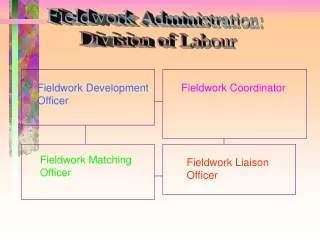 Fieldwork Development Officer