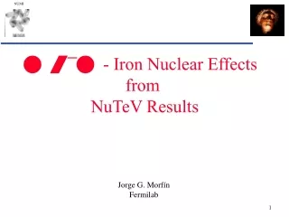 n / n  - Iron Nuclear Effects  from  NuTeV Results