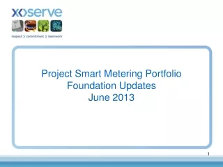 Project Smart Metering Portfolio Foundation Updates June 2013