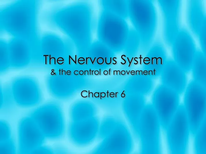 the nervous system the control of movement