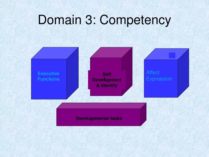 domain 3 competency