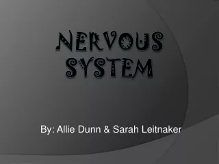 Nervous System