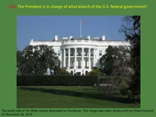 LEQ: The President is in charge of what branch of the U.S. federal government?