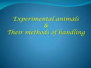 Experimental animals  &amp;  Their methods of handling