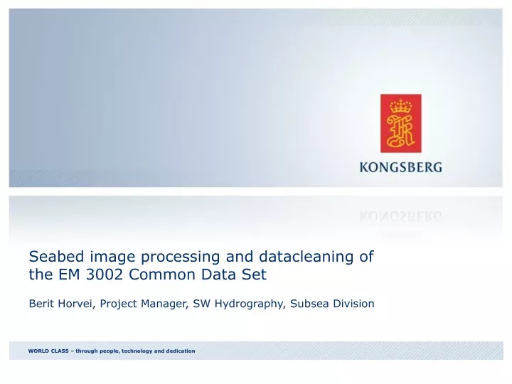 seabed image processing and datacleaning of the em 3002 common data set