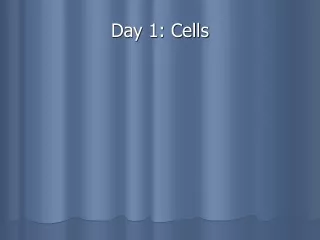 Day 1: Cells