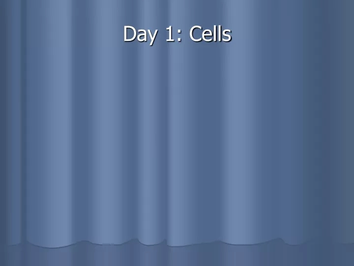 day 1 cells