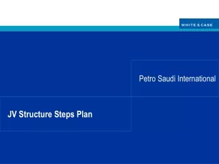 JV Structure Steps Plan