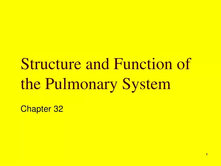 structure and function of the pulmonary system