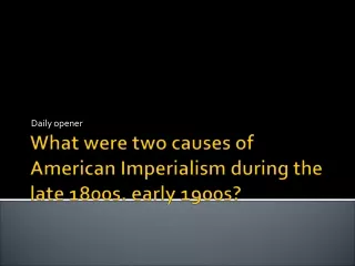 What were two causes of American Imperialism during the late 1800s. early 1900s?