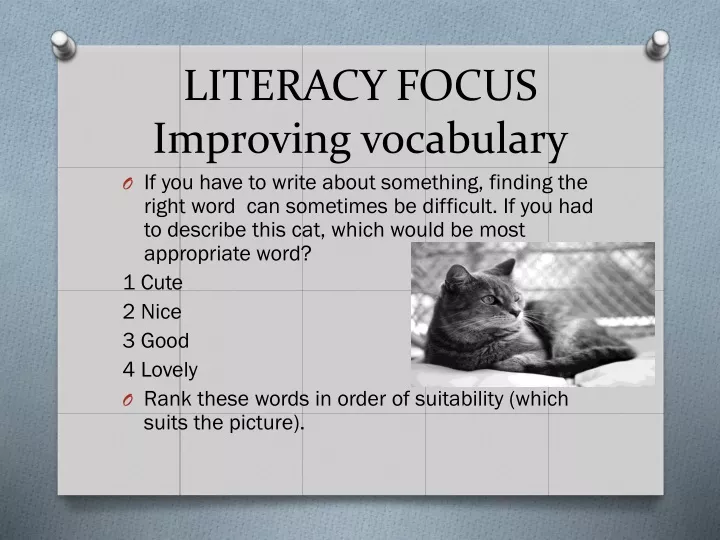 literacy focus improving vocabulary