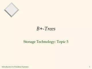 B+-Trees