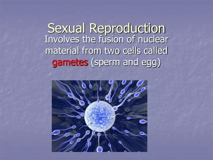 sexual reproduction