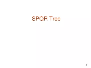 SPQR Tree