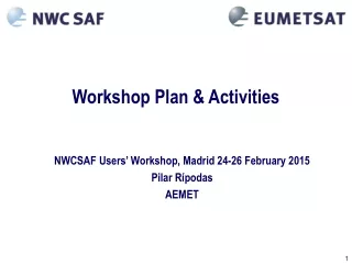 Workshop Plan &amp; Activities