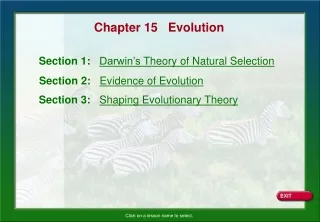 Chapter 15   Evolution