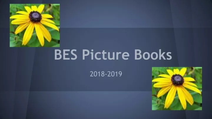 bes picture books