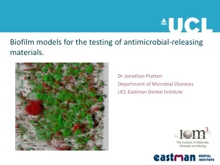 Biofilm models for the testing of antimicrobial-releasing materials.