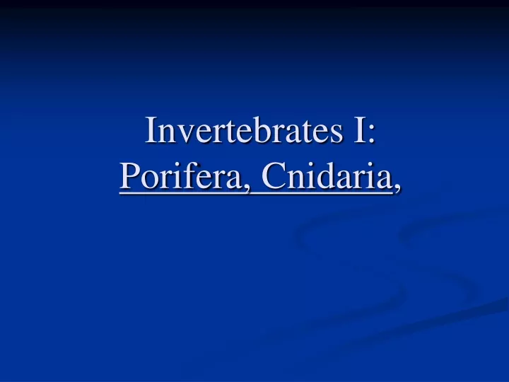 invertebrates i porifera cnidaria