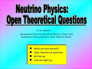 Open Theoretical Questions