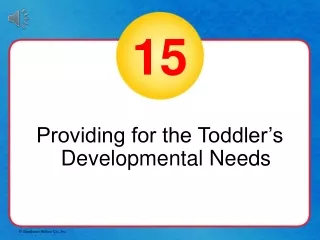 Providing for the Toddler’s Developmental Needs