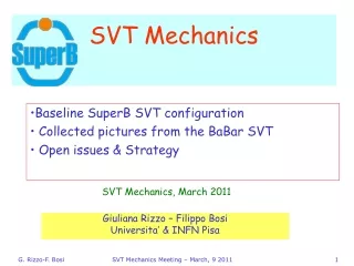 SVT Mechanics