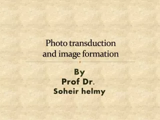 Photo transduction and image formation