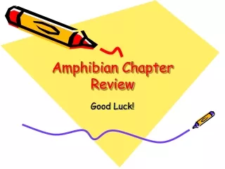 Amphibian Chapter Review