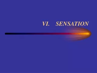 VI.    SENSATION