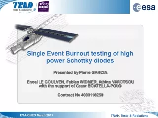 Single Event Burnout testing of high power Schottky diodes