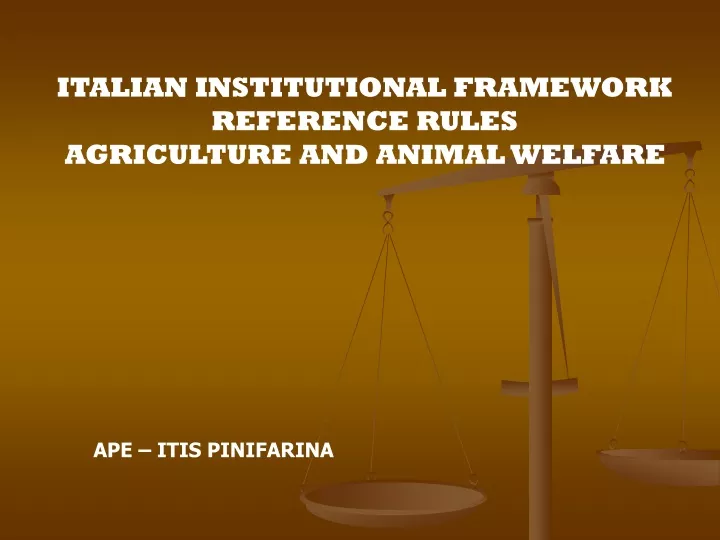 italian institutional framework reference rules