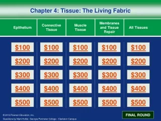 Chapter 4: Tissue: The Living Fabric