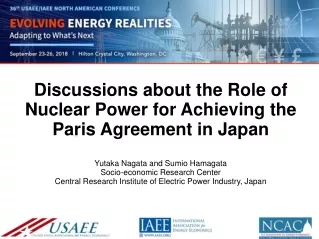Three energy issues for setting Japan's INDC