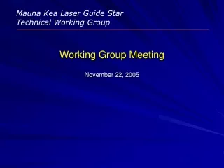 Working Group Meeting November 22, 2005