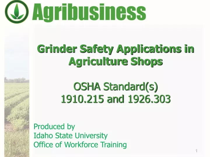 grinder safety applications in agriculture shops osha standard s 1 910 215 and 1926 303