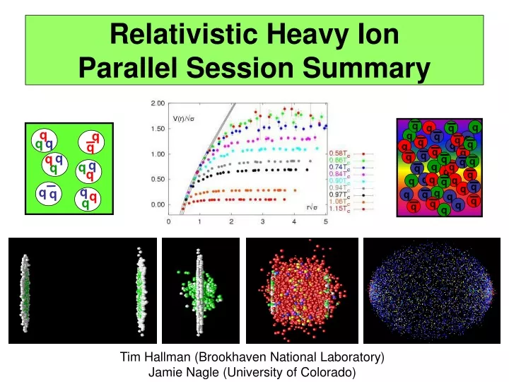 relativistic heavy ion parallel session summary