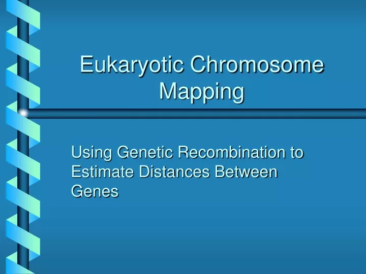eukaryotic chromosome mapping
