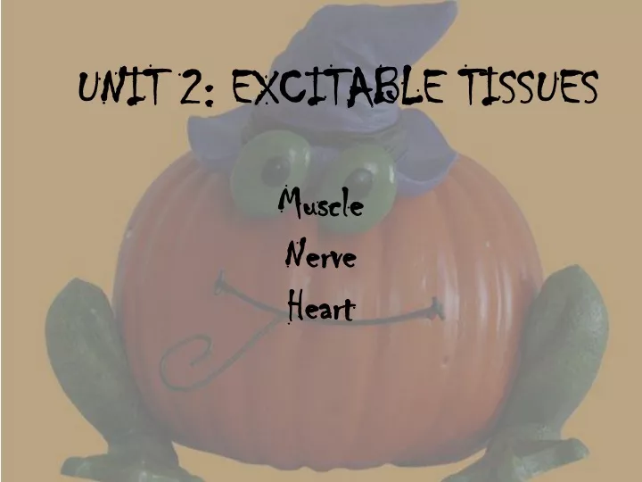 unit 2 excitable tissues
