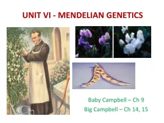 UNIT VI - MENDELIAN GENETICS