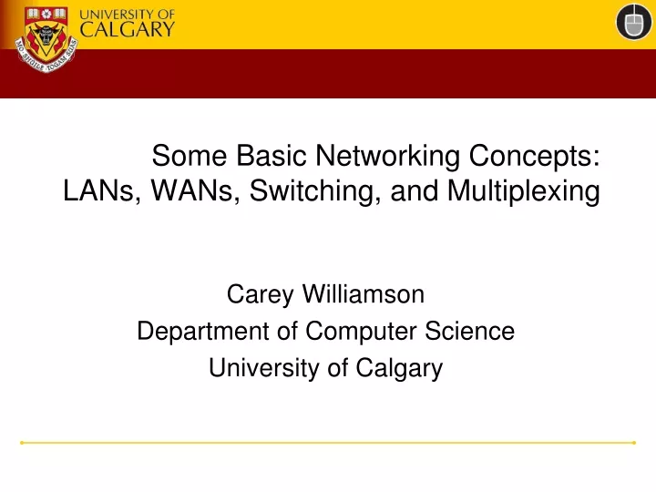 some basic networking concepts lans wans switching and multiplexing