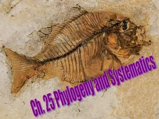 Ch. 25 Phylogeny and Systematics