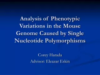 Analysis of Phenotypic Variations in the Mouse Genome Caused by Single Nucleotide Polymorphisms