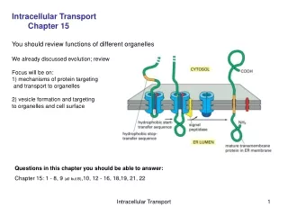 Intracellular Transport 	Chapter 15 You should review functions of different organelles